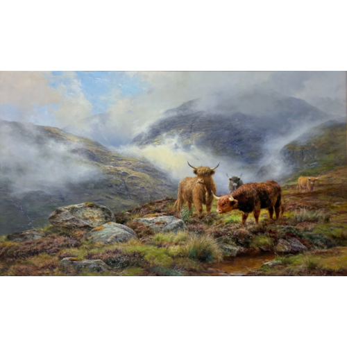 Highland cattle in a glen